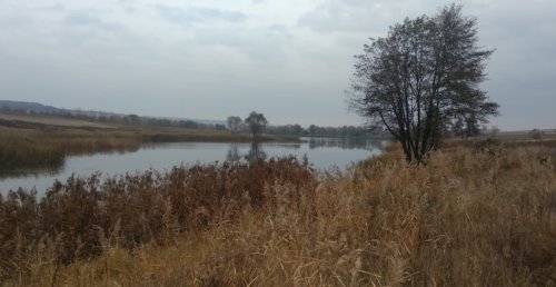 Рыбалка у села Опришени в Черновицкой области