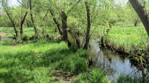 Рибалка біля села Рябоконево