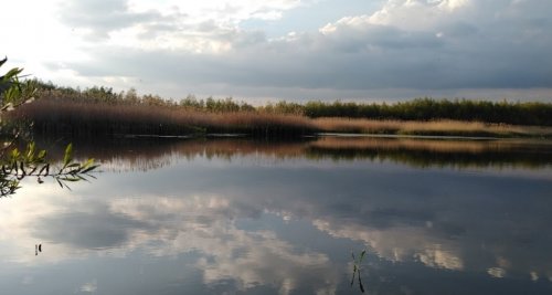 Рыбалка у села Солобковцы в Хмельницкой области