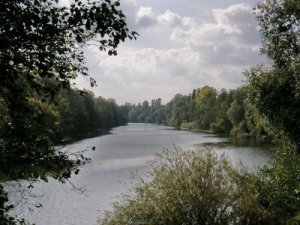 Рыбалка у села Трушки в Киевской области-1