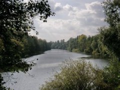 Рыбалка у села Трушки в Киевской области-1