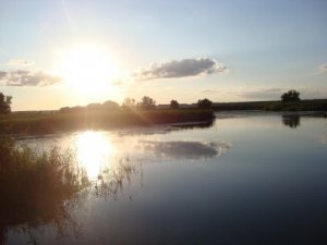 Рыбалка у села Вишневое в Харьковской области-1