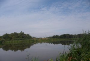 Рыбалка в Поршне справа во Львовской области