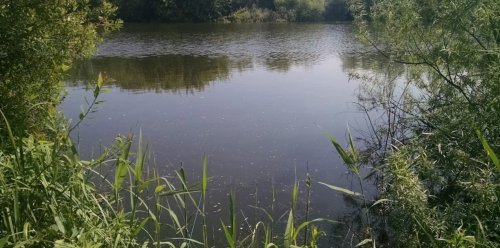 Риболовля в селі Плотича Тернопільської області