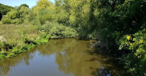 Риболовля в селі Плотича Тернопільської області
