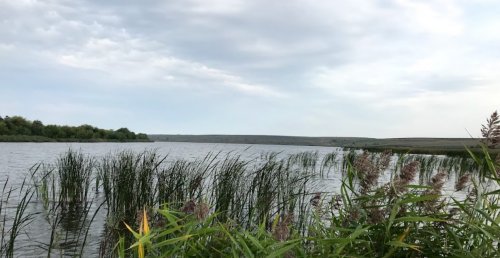 Риболовля в селі Плотича Тернопільської області