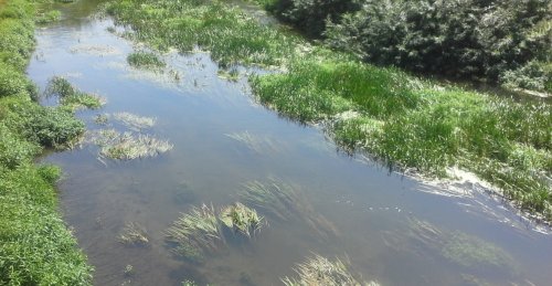 Риболовля в селі Плотича Тернопільської області