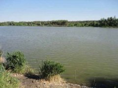 Рыбалка в селе Таценки Киевской области-1