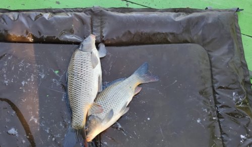 Рыбацкий клуб Любава во Львовской области