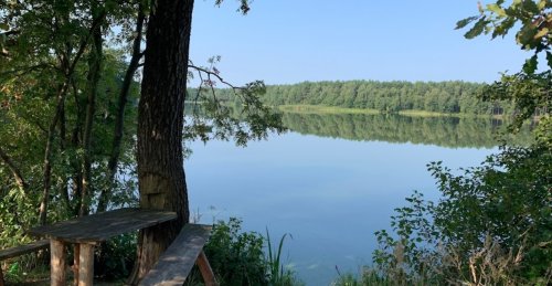 Риболовля на озері Глухівське у Волинській області