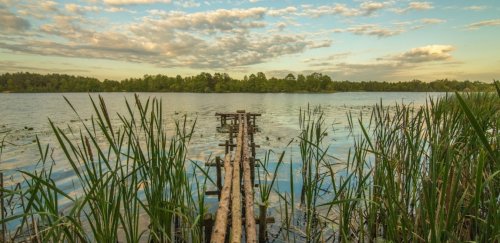 Риболовля на озері Глухівське у Волинській області