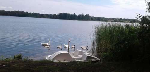 Риболовля на озері Глухівське у Волинській області