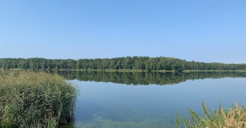 Риболовля на озері Глухівське у Волинській області