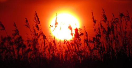 Риболовля та відпочинок на озері «Любань» у Волинській області