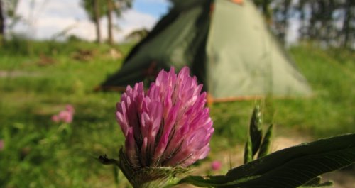 Риболовля та відпочинок на озері «Любань» у Волинській області