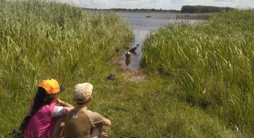 Риболовля та відпочинок на озері «Любань» у Волинській області