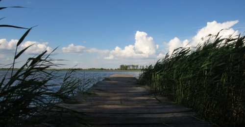 Риболовля та відпочинок на озері «Любань» у Волинській області