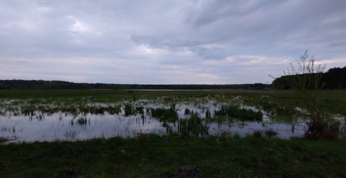 Риболовля на озері «Велике» у Волинській області