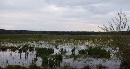 Риболовля на озері «Велике» у Волинській області