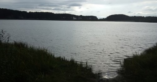 Риболовля на озері «Велике» у Волинській області