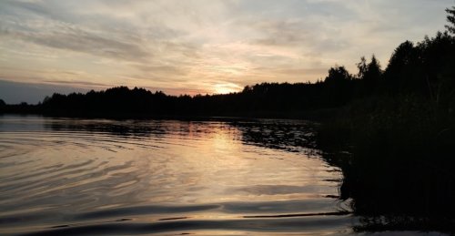 Риболовля на озері «Велике» у Волинській області