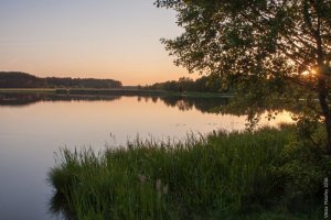 Риболовля на озері «Велике» у Волинській області