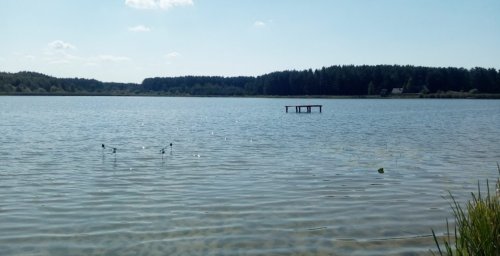 Риболовля на озері «Велике» у Волинській області