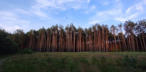 Риболовля на озері «Велике» у Волинській області