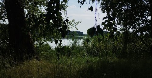 Риболовля на озері «Велике» у Волинській області