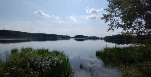 Риболовля на озері «Велике» у Волинській області