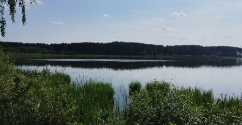 Риболовля на озері «Велике» у Волинській області