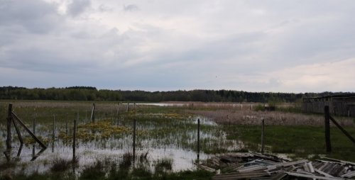 Риболовля на озері «Велике» у Волинській області