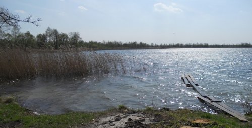 Риболовля та відпочинок на озері «Дошне» у Волинській області