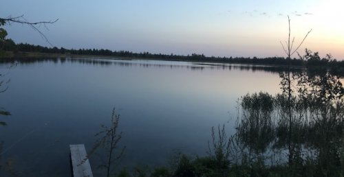 Риболовля та відпочинок на озері «Дошне» у Волинській області