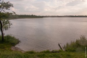 Риболовля та відпочинок на озері «Дошне» у Волинській області