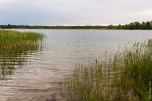 Риболовля та відпочинок на озері «Дошне» у Волинській області