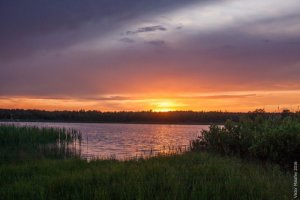 Риболовля та відпочинок на озері «Дошне» у Волинській області