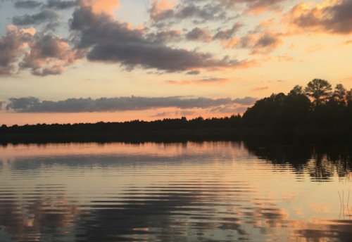 Риболовля та відпочинок на озері «Дошне» у Волинській області