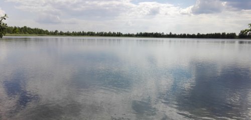 Риболовля та відпочинок на озері «Дошне» у Волинській області