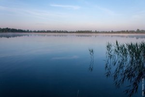 Риболовля та відпочинок на озері «Дошне» у Волинській області