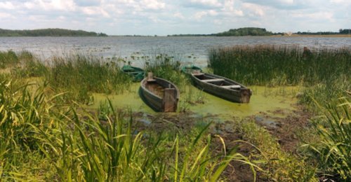 Риболовля та відпочинок на озері «Кисобул» у Волинській області