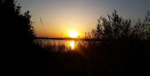 Риболовля та відпочинок на озері «Радожич» у Волинській області7