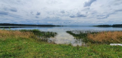 Риболовля та відпочинок на озері «Радожич» у Волинській області