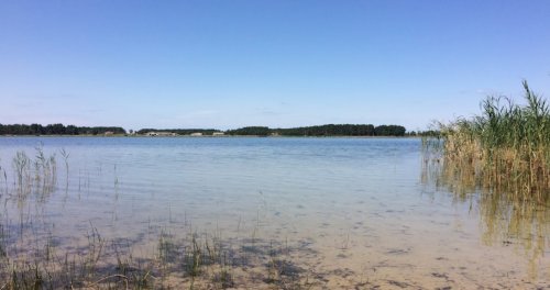 Риболовля та відпочинок на озері «Радожич» у Волинській області