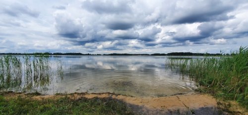 Риболовля та відпочинок на озері «Радожич» у Волинській області