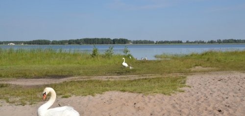 Риболовля та відпочинок на озері «Радожич» у Волинській області