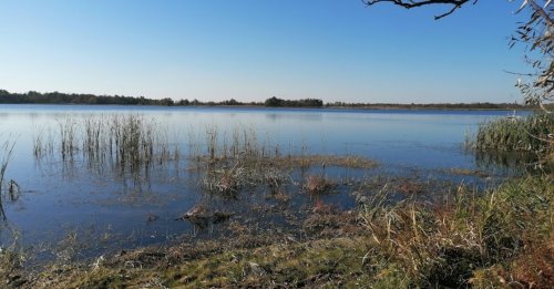 Озеро «Речицьке» у Волинській області