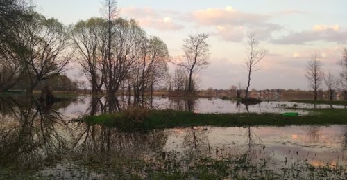 Озеро «Речицьке» у Волинській області
