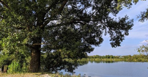 Озеро «Сліпе 2-ге» у Волинській області