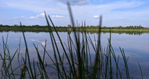 Озеро «Сліпе 2-ге» у Волинській області